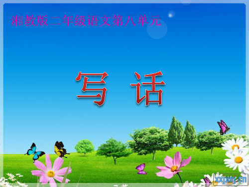 二年级语文下册第八单元写话 2