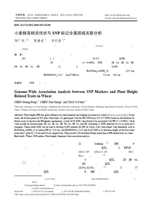 小麦株高相关性状与SNP标记全基因组关联分析