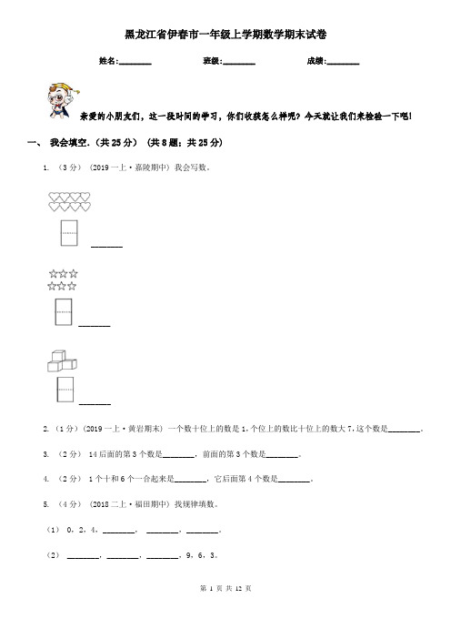 黑龙江省伊春市一年级 上学期数学期末试卷