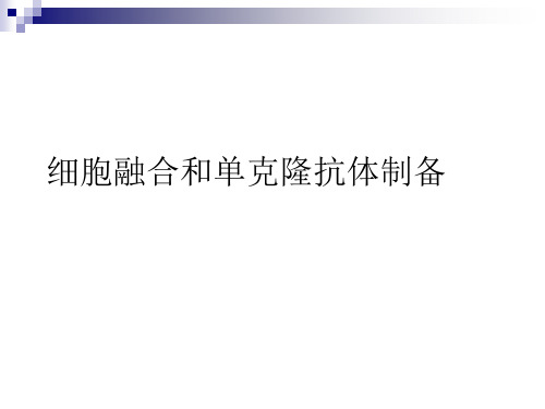 细胞融合和单克隆抗体制备