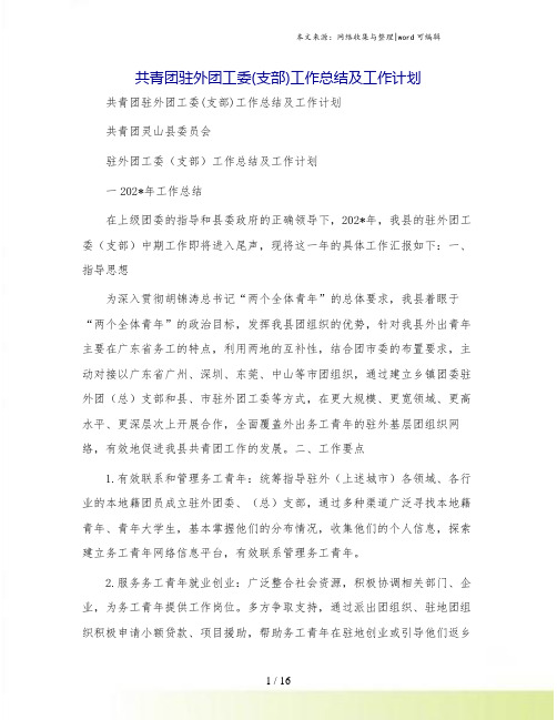 共青团驻外团工委(支部)工作总结及工作计划