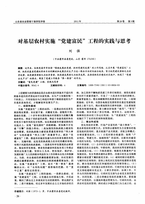 对基层农村实施“党建富民”工程的实践与思考
