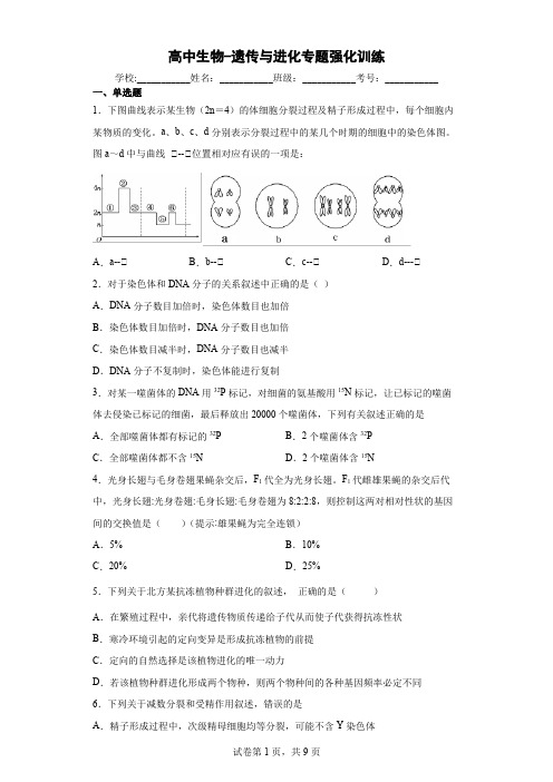 高中生物-遗传与进化专题强化训练(解析版)