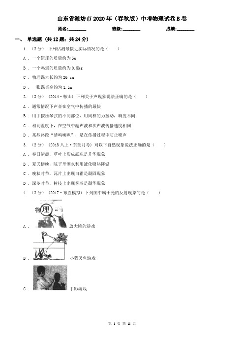 山东省潍坊市2020年(春秋版)中考物理试卷B卷