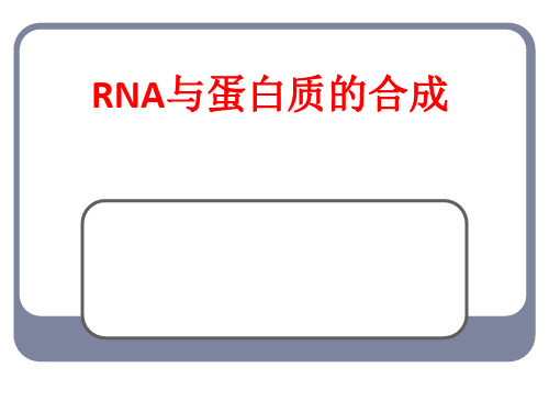 [课件]RNA与蛋白质的合成PPT