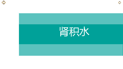 肾积水标准课件