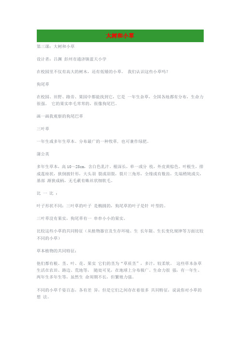 三年级科学上册1.3《大树和小草》教案(新版)教科版