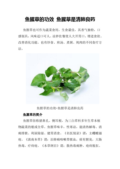 鱼腥草的功效 鱼腥草是清肺良药