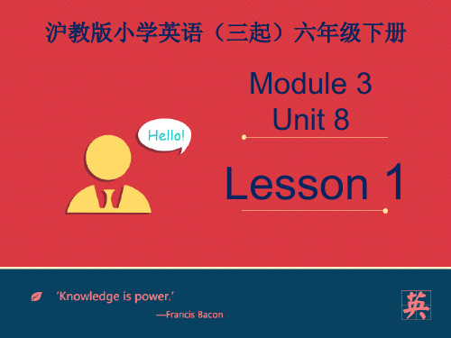 最新上海牛津沪教版六年级英语下册Module 3 Unit 8《Reading signs》(第1课时)公开课课件