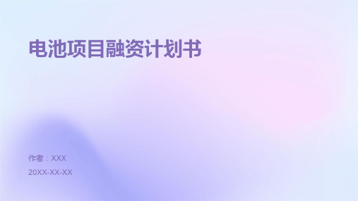 电池项目融资计划书