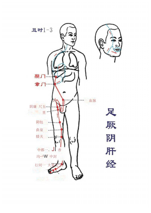 完整十二经络高清图包含经络穴位