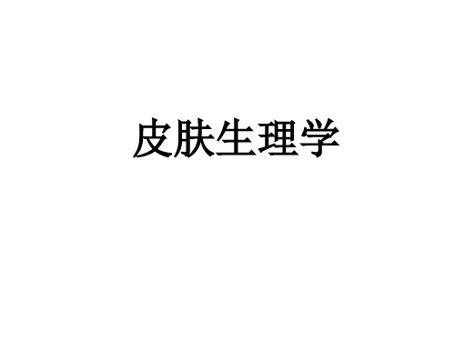 皮肤的分类 PPT课件