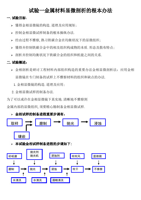 金相实验报告 实验报告范本