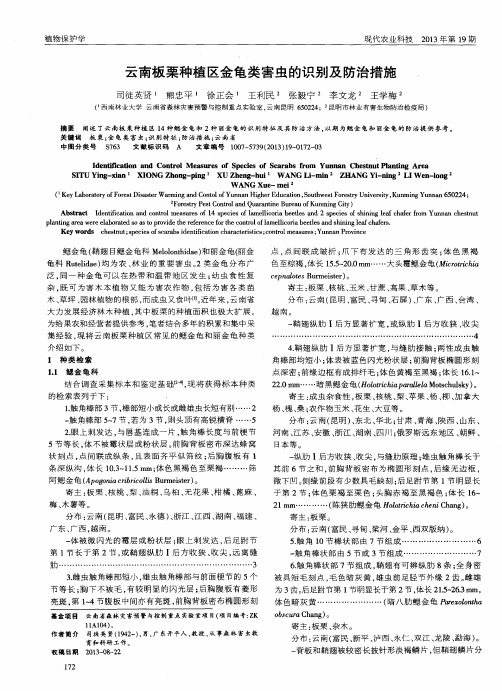 云南板栗种植区金龟类害虫的识别及防治措施