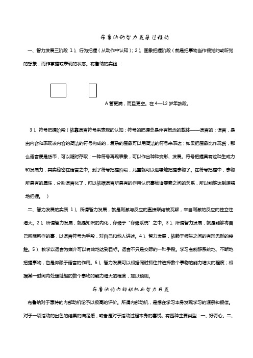 布鲁纳的智力发展过程论