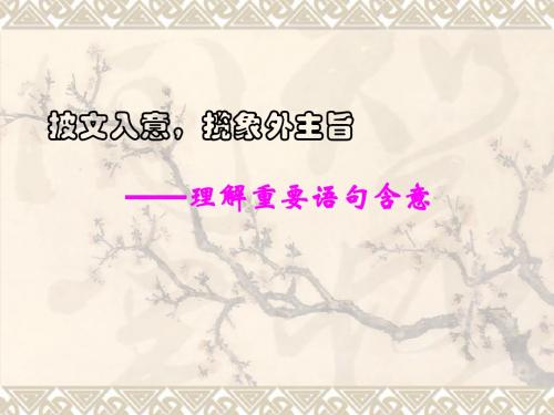 2014现代文复习之重点句子含意zuihou