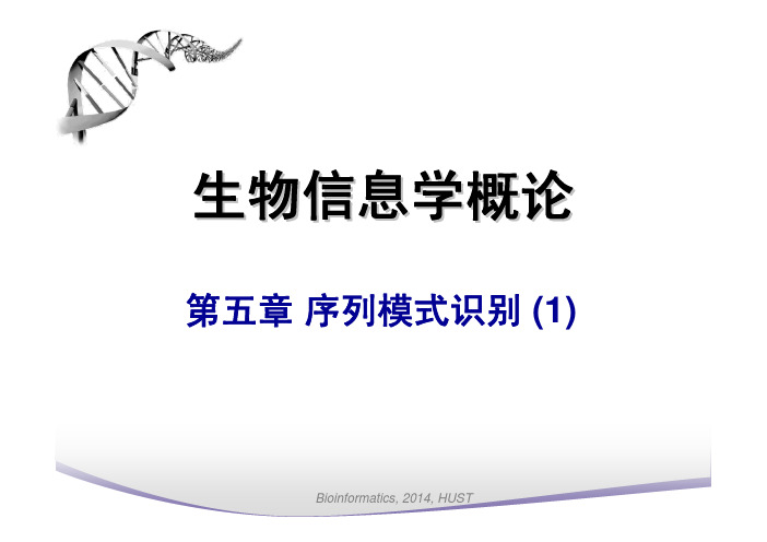 生信概论chap5-1