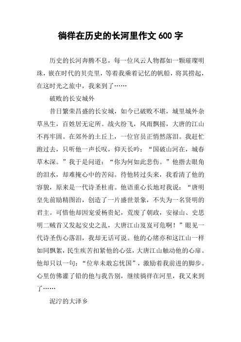 徜徉在历史的长河里作文600字