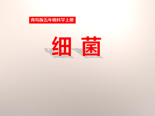 《细菌》(最新)ppt