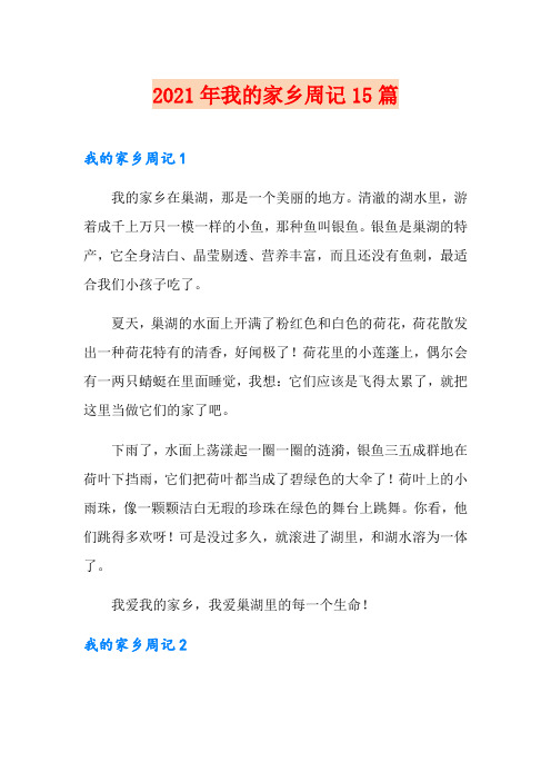 2021年我的家乡周记15篇