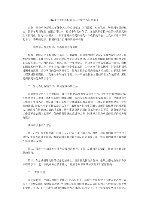 2018年企业单位新员工年度个人总结范文.doc