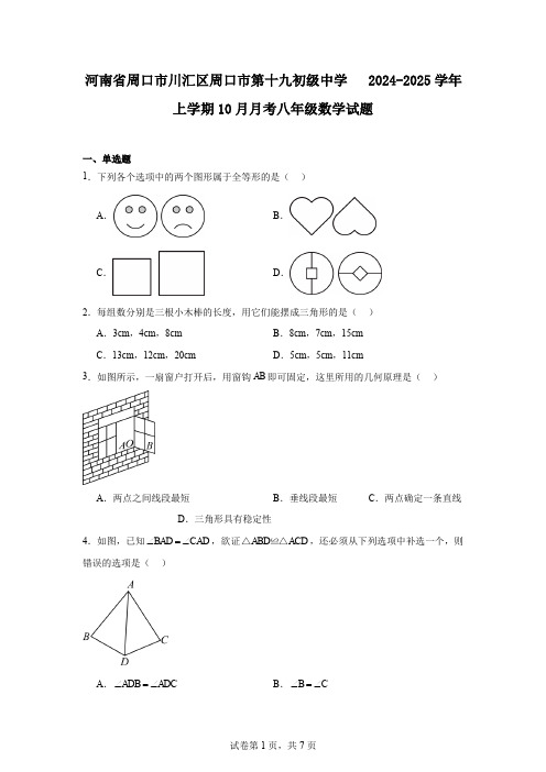 河南省周口市川汇区周口市第十九初级中学 2024-2025学年上学期10月月考八年级数学试题