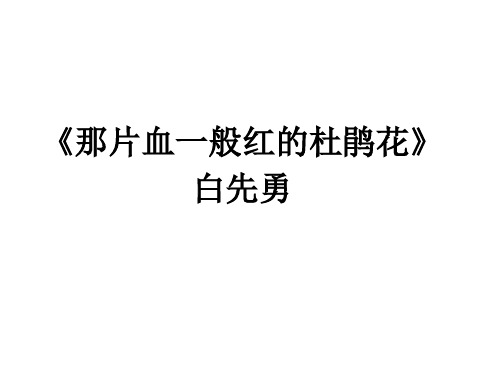 白先勇《那片血一般红的杜鹃花》课件