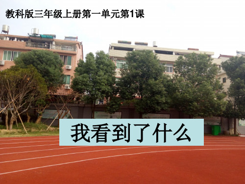 三年级上册科学-我看到了什么优秀课件教科版