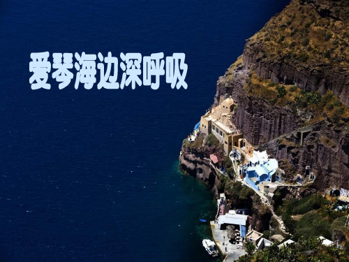 福建省福清市红博中学八年级语文 诗情画意系列14 爱琴