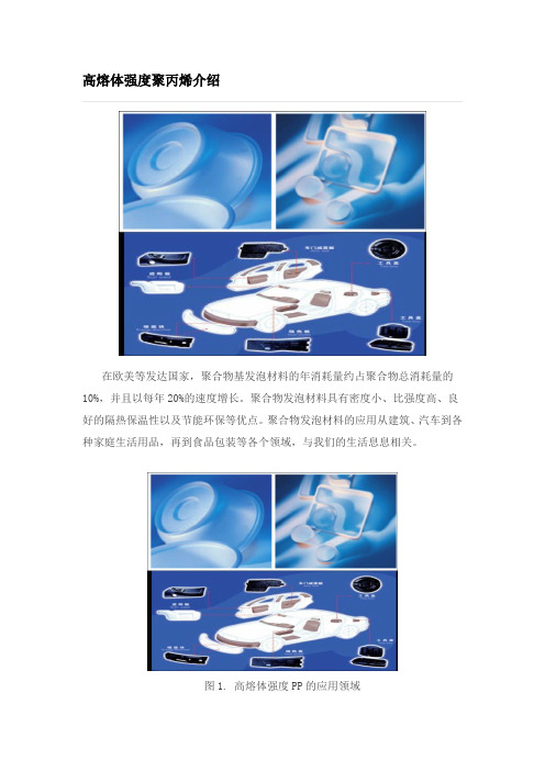 高熔体强度聚丙烯介绍