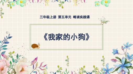 部编版三年级语文上册第五单元《我家的小狗》课件