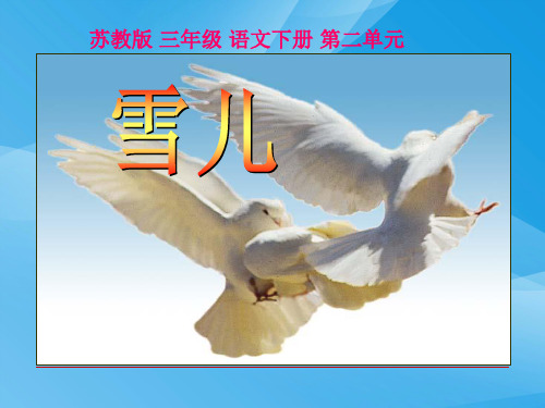 小学三年级下学期语文《雪儿》PPT课件课件PPT