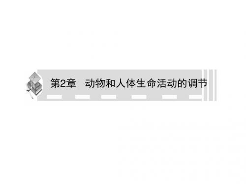 生物高考一轮复习课件：必修3 第2章 动物和人体生命活动的调节 第2-3节