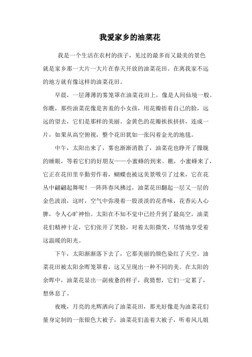 我爱家乡的油菜花