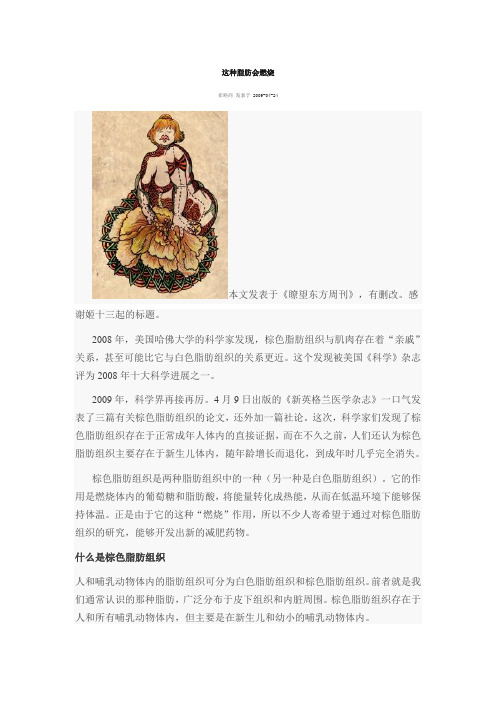 这种脂肪会燃烧