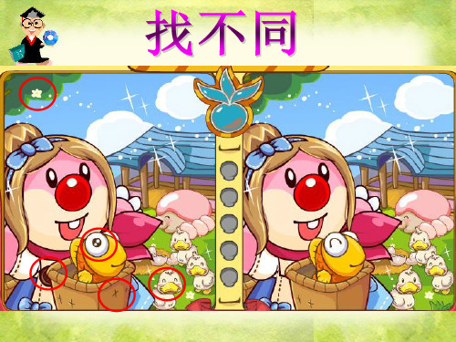 视觉的形成-ppt课件