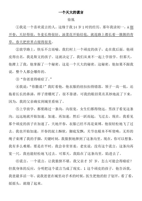 一个天大的谎言(2016辽宁锦州中考语文记叙文阅读)
