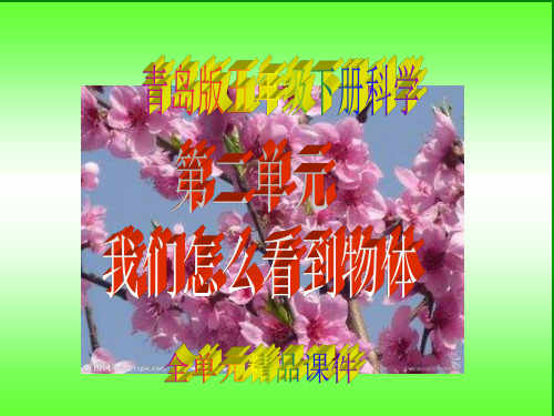 青岛版五年级下册科学第二单元《我们怎么看到物体》全单元精品课件