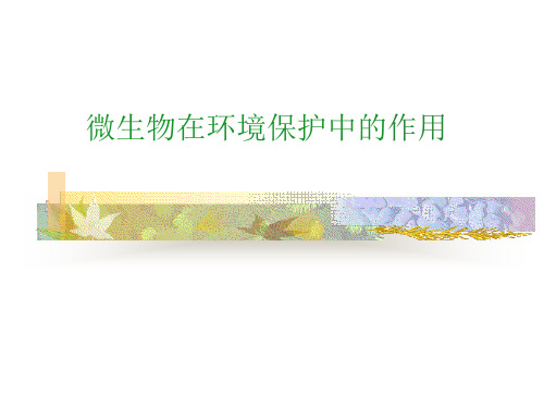 微生物在环境保护中的作用PPT课件