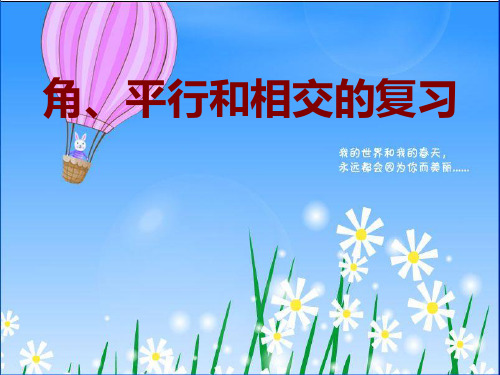 新苏教版四年级数学上册第八单元《垂直与平行线》复习课件.ppt
