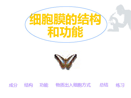 高一生物细胞的基本结构ppt课件