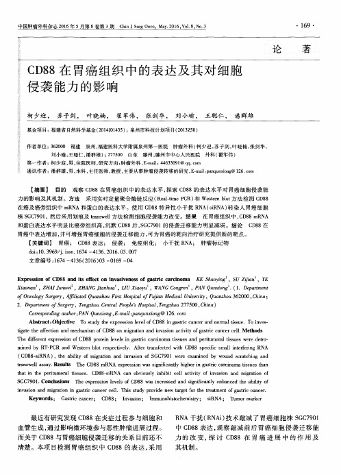 CD88在胃癌组织中的表达及其对细胞侵袭能力的影响