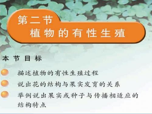 21-2植物的有性生殖