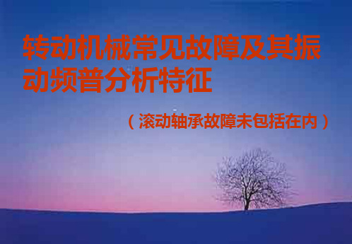 转动机械常见故障及其频率特征资料重点