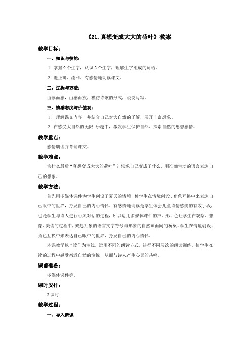 二年级语文下册《真想变成大大的荷叶》教案2