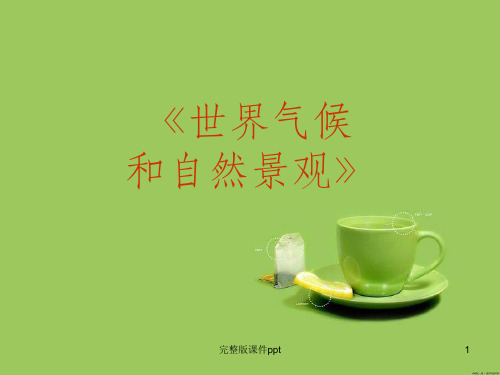 高考地理复习课件：世界地理(世界气候和自然景观