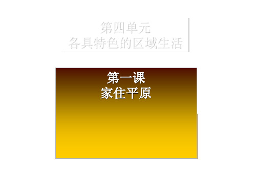 人教版七年级历史与社会上册3.1.1稻作文化的印记(共15张PPT)