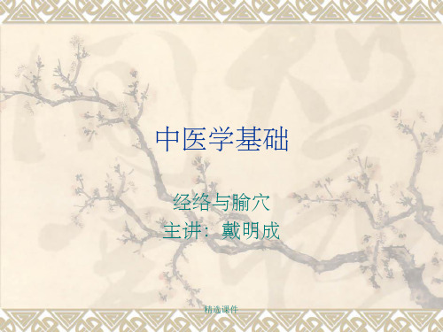 中医学基础经络与腧穴
