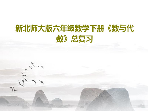 新北师大版六年级数学下册《数与代数》总复习共179页文档