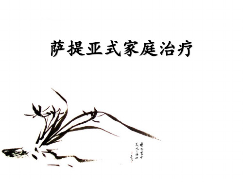 萨提亚式家庭治疗 ppt课件
